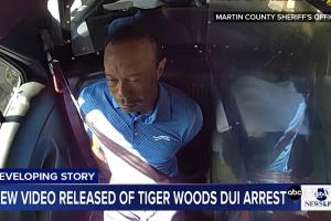 老虎伍兹被捕现场：下车后自称“通话总统” 在警车后座神志不清
